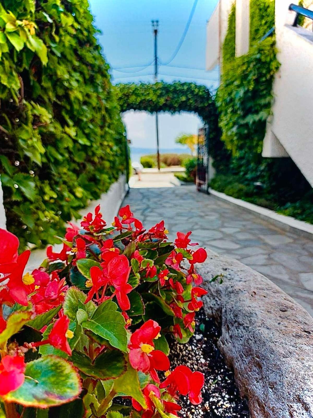 Argo Apartments Nea Poteidaia Dış mekan fotoğraf